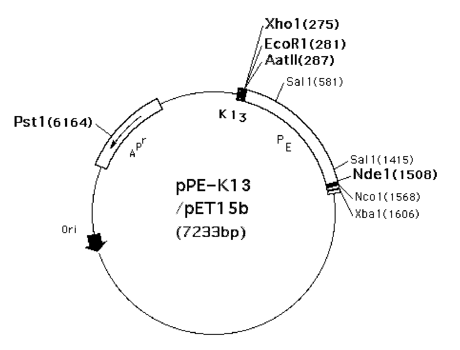 Fusion antigen used as vaccine