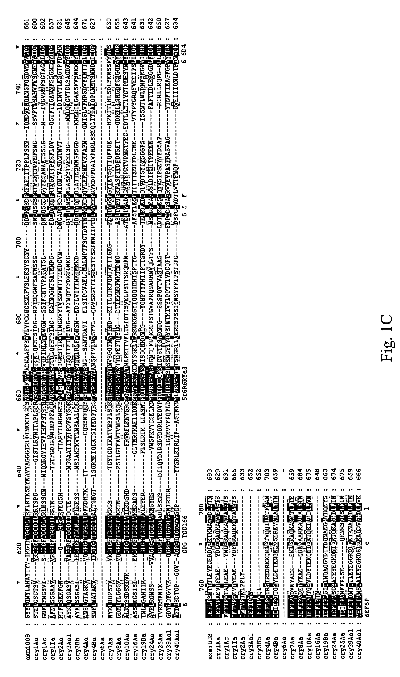 AXMI-008, a delta-endotoxin gene and methods for its use