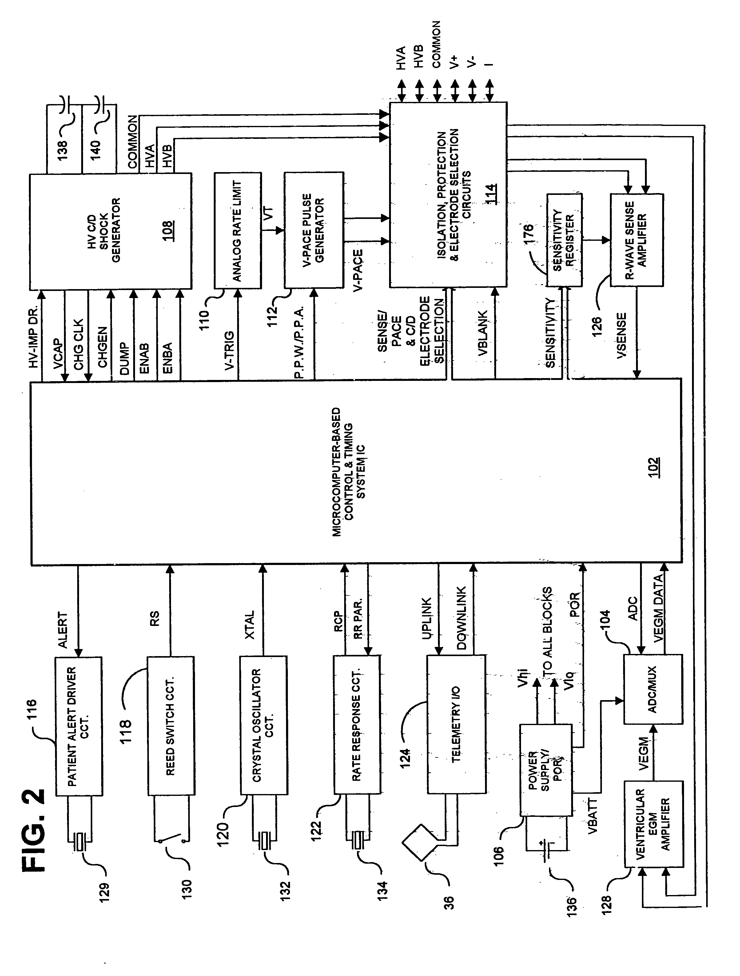 Methods and apparatus for discriminating polymorphic tachyarrhythmias from monomorphic tachyarrhythmias facilitating detection of fibrillation