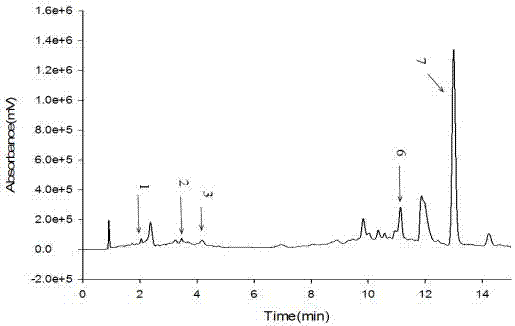 Fungus with strong weed suppression effect screened from passion fruit rhizosphere soil