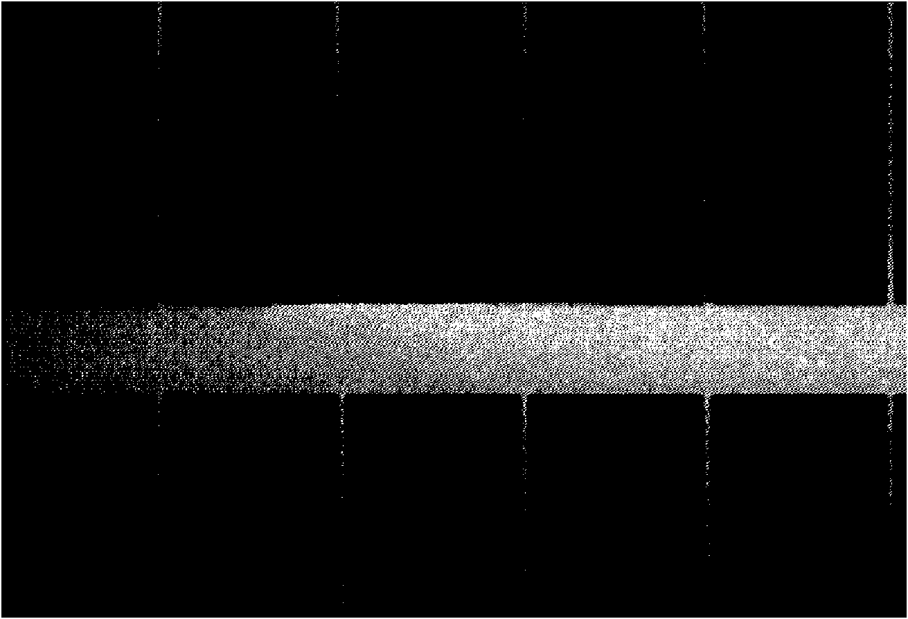 Lead-free silver conductive paste used for positive electrode of solar battery and preparation technique thereof