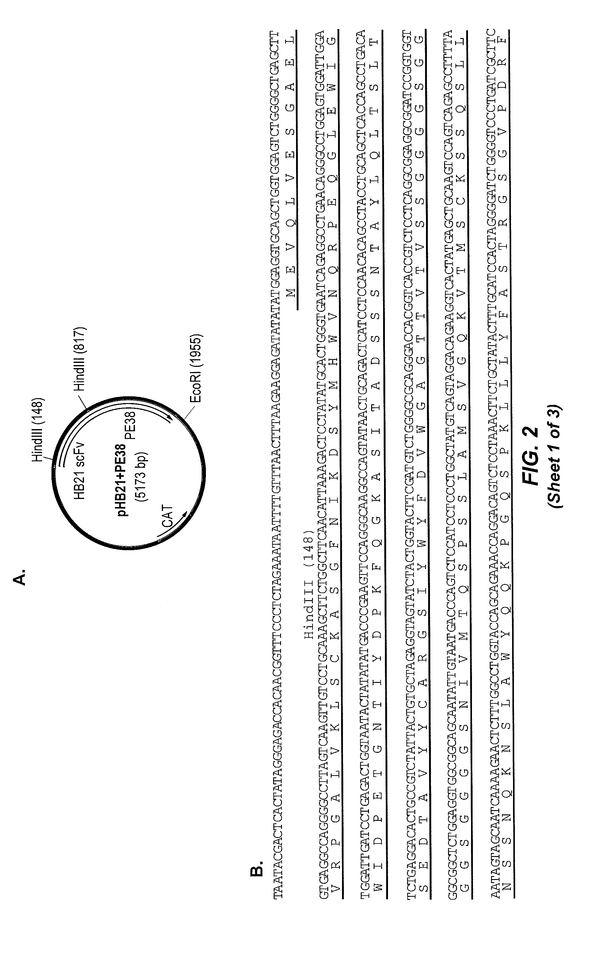 Immunotoxins and uses thereof