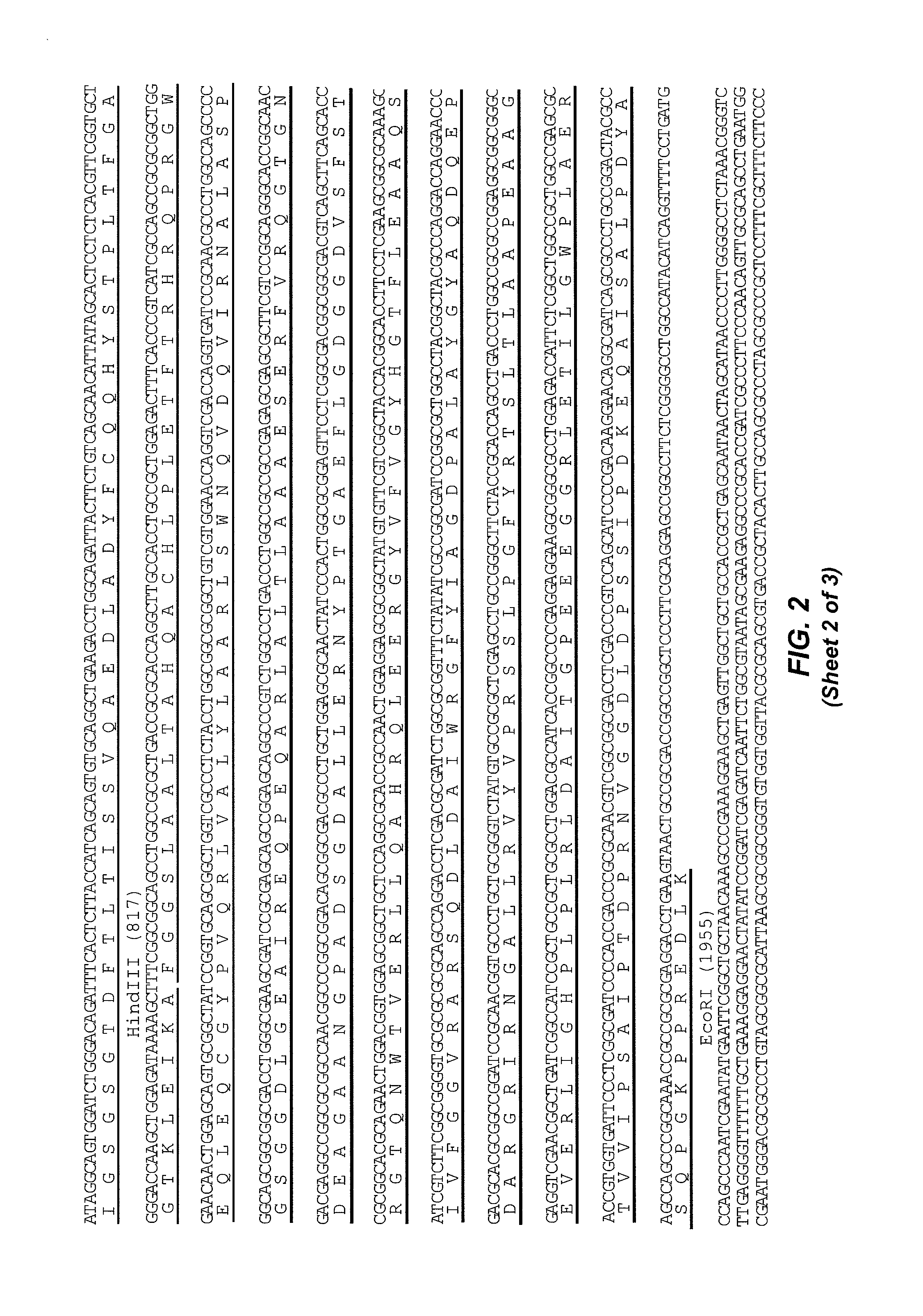 Immunotoxins and uses thereof