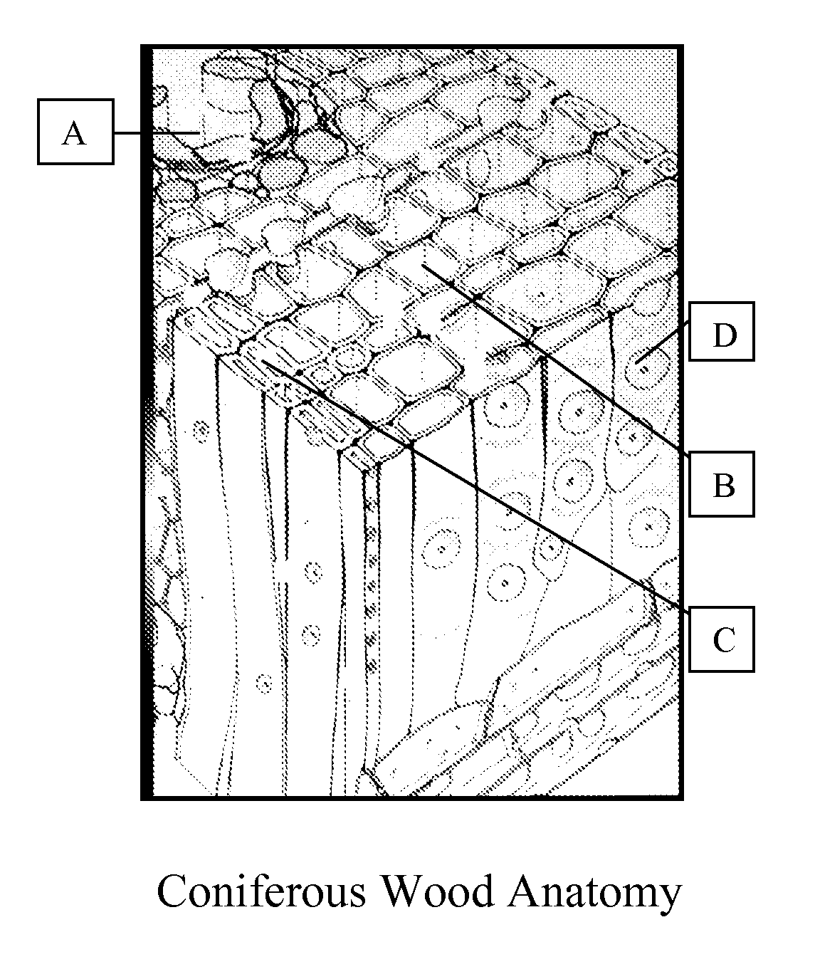 Composition And Process For Coloring Wood