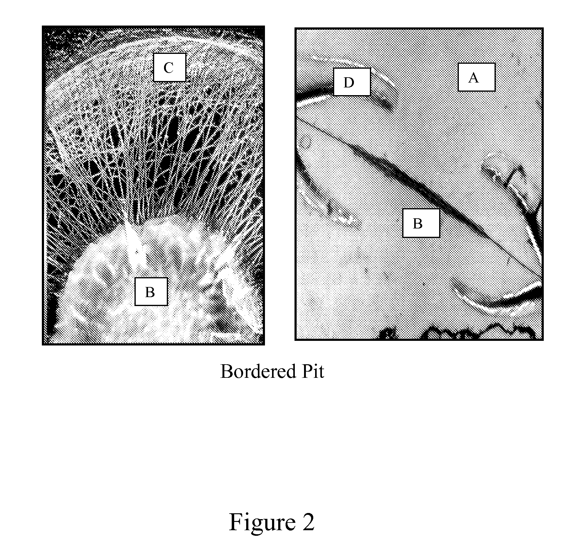 Composition And Process For Coloring Wood