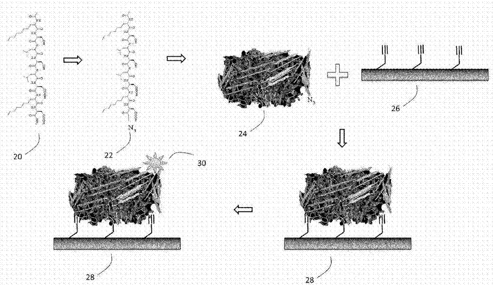 Functionalized beta-sheet peptide stabilized membrane proteins, constructs comprising same, and methods of forming and using same