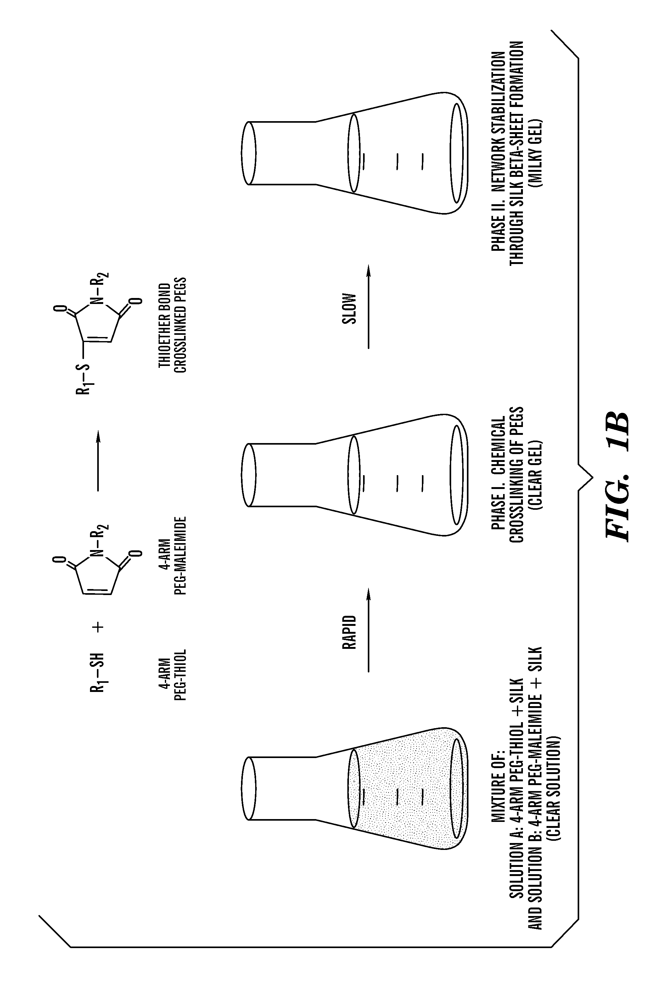 Silk fibroin and polyethylene glycol-based biomaterials