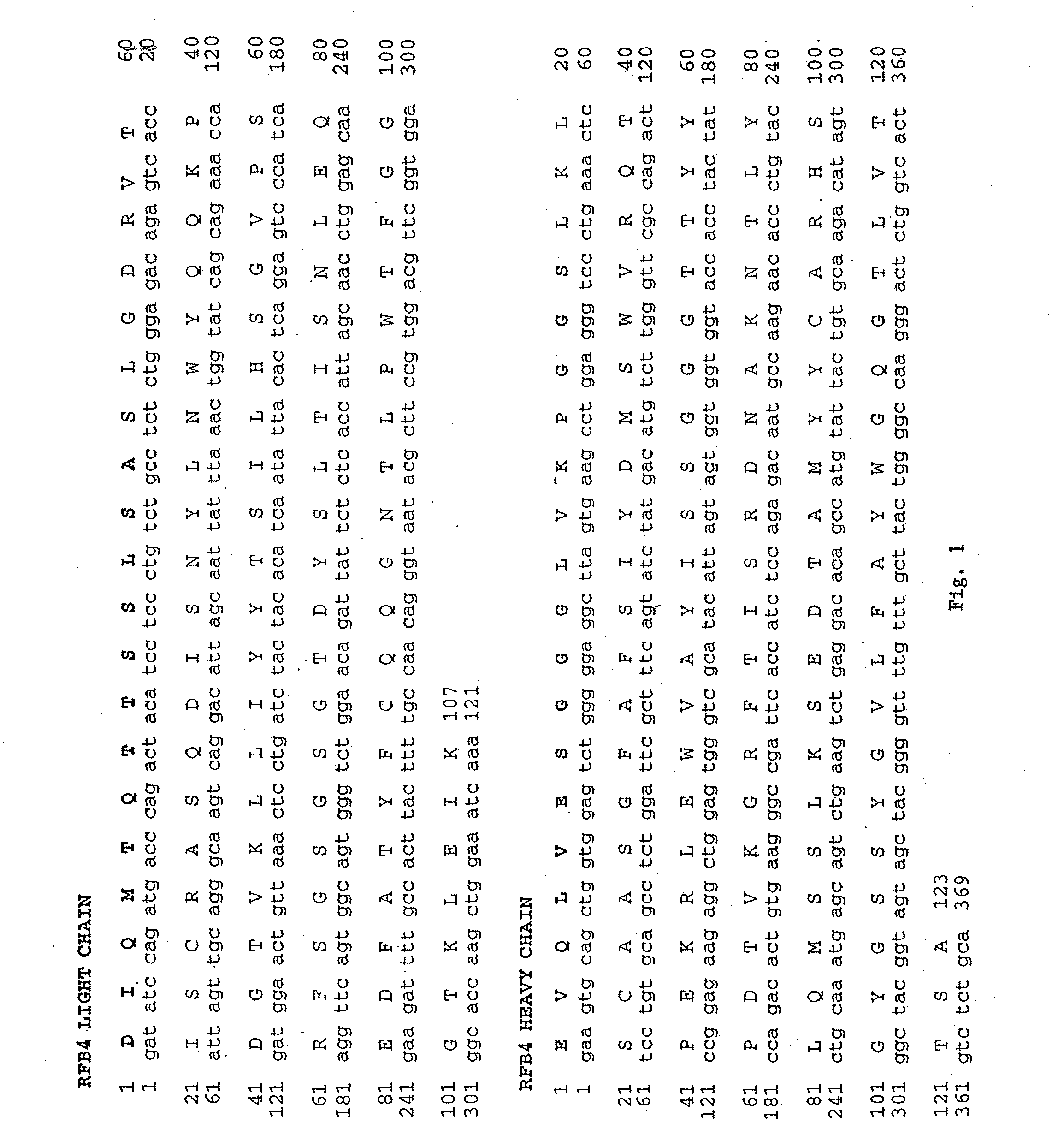 Recombinant antibodies and immunoconjugates targeted to cd-22 bearing cells and tumors