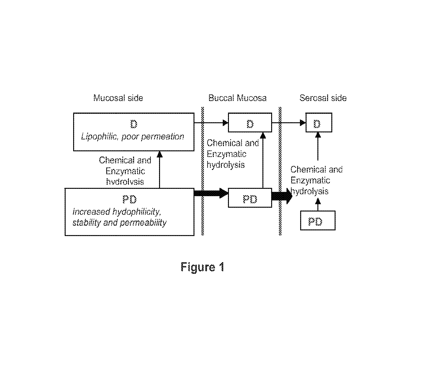 Compositions containing delta-9-THC-amino acid esters and process of preparation