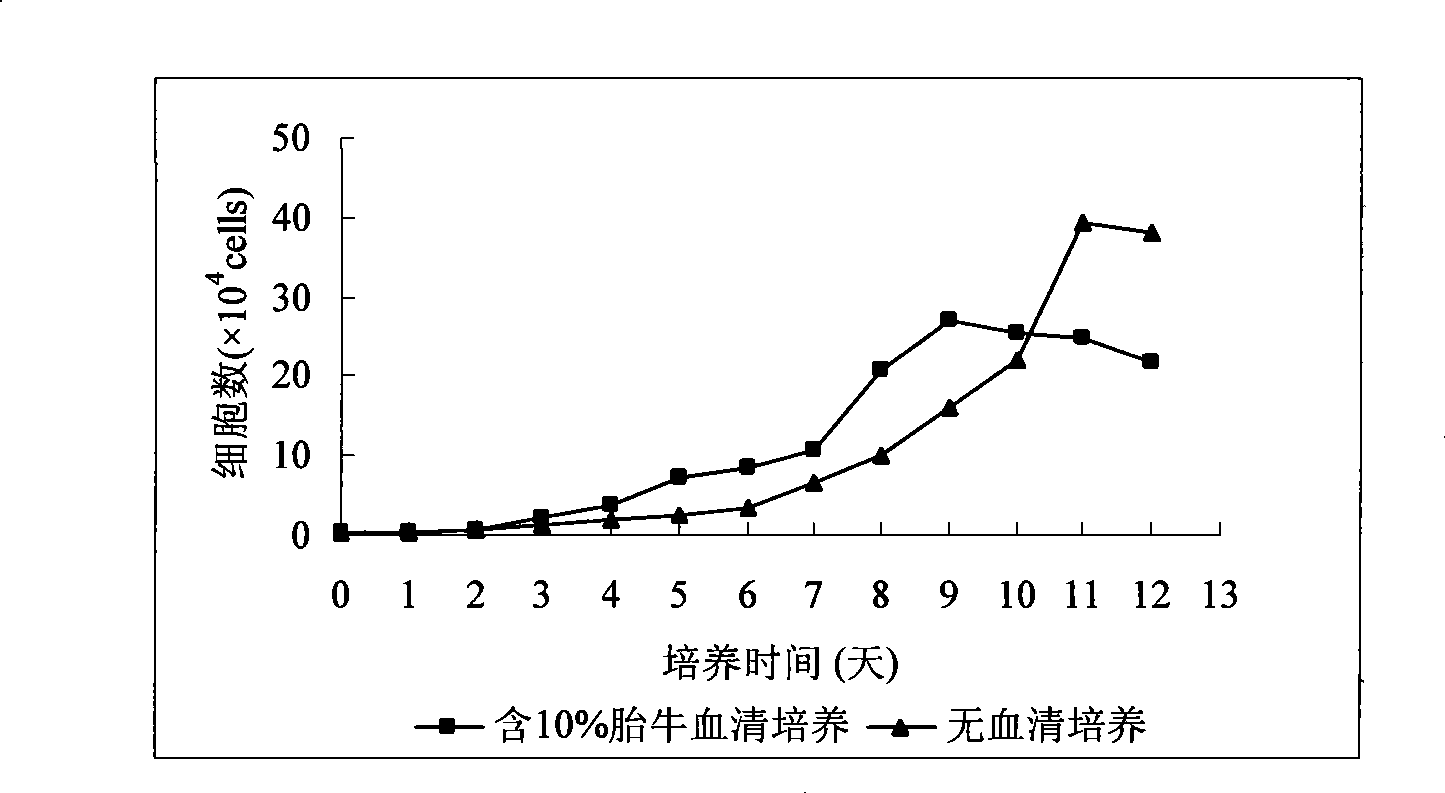 Serum-free medium for in vitro cultivation and amplification of mesenchymal stem cells