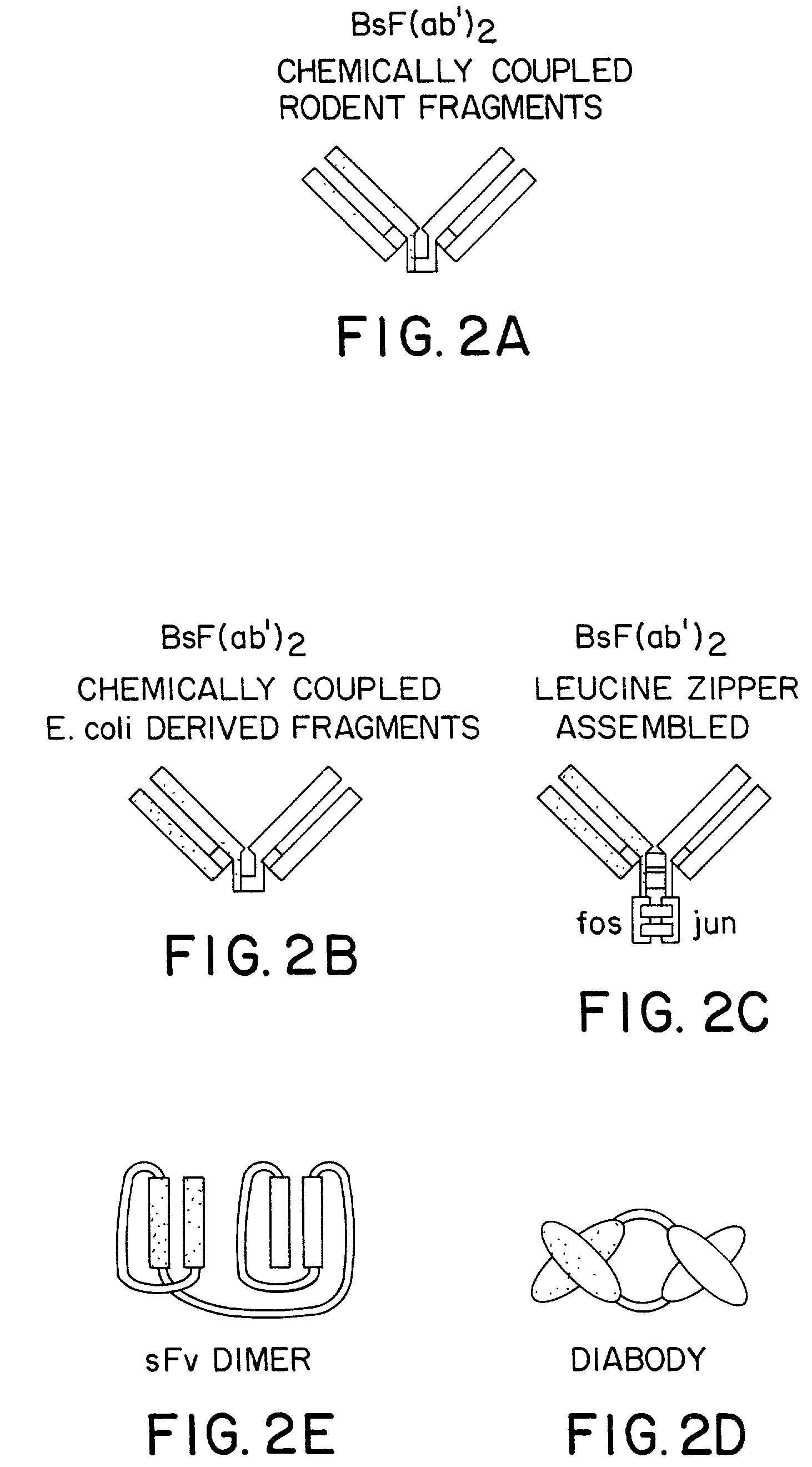 Method for making heteromultimeric polypeptides