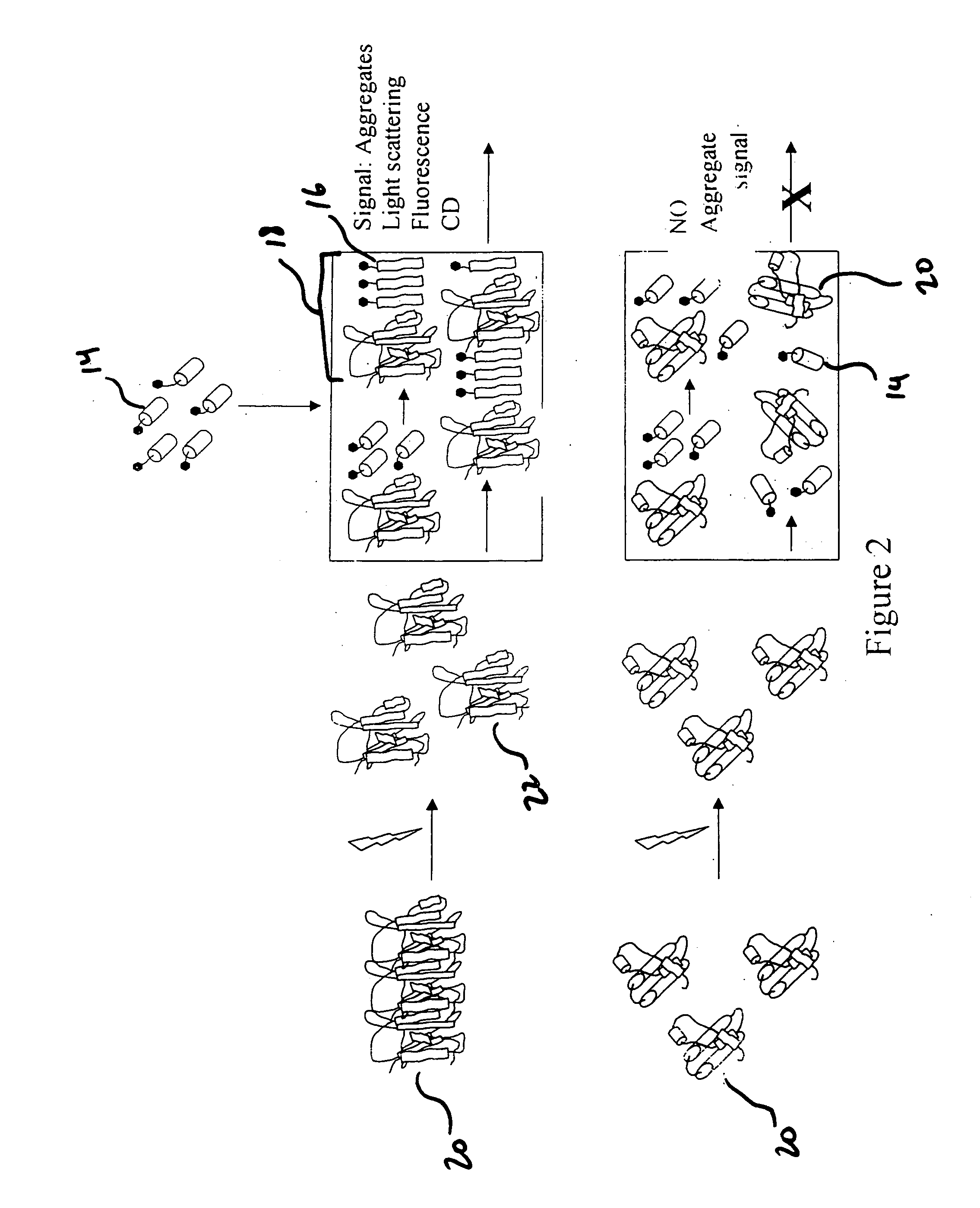 Misfolded protein sensor method in body fluids