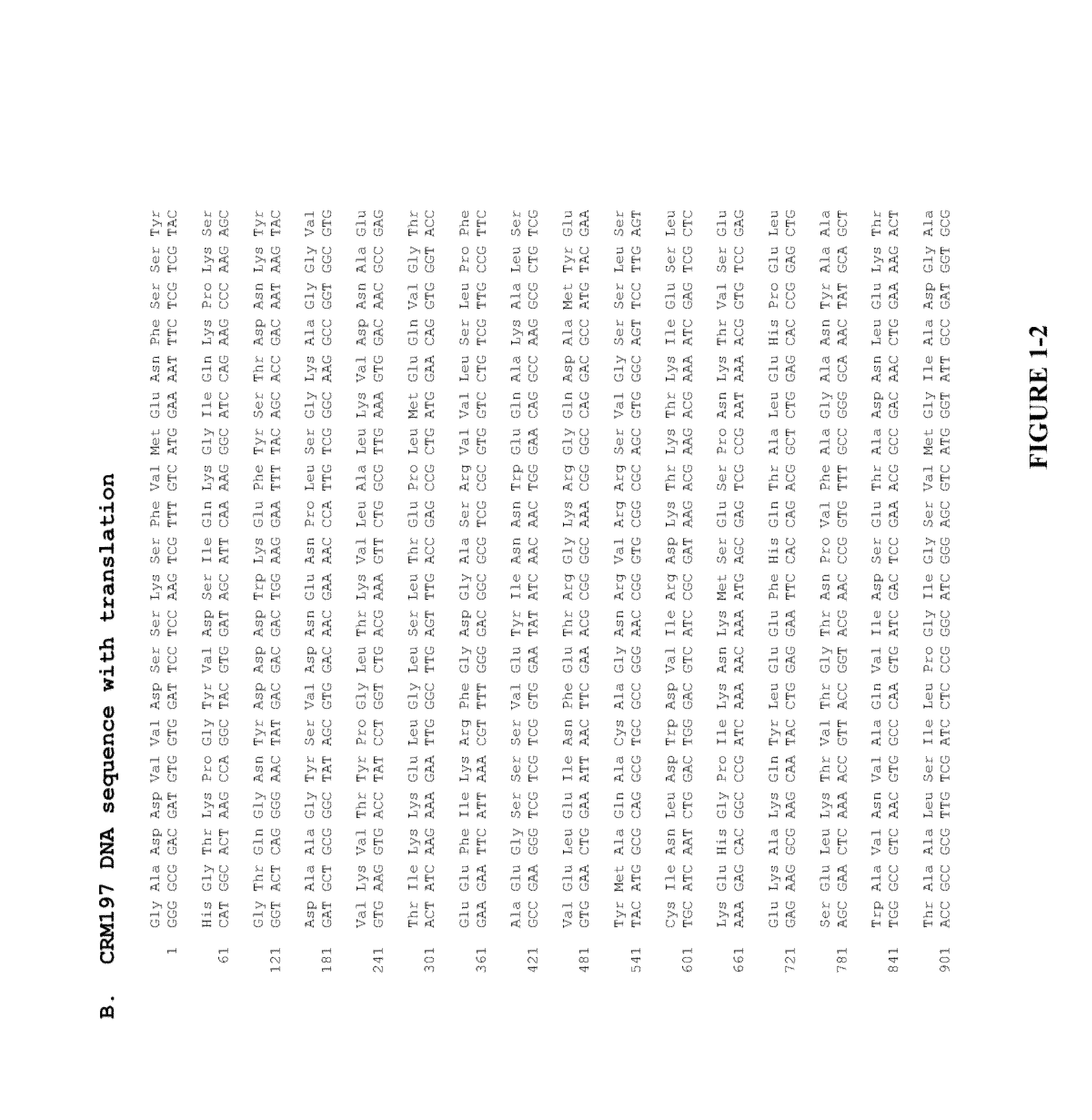 High level expression of recombinant toxin proteins