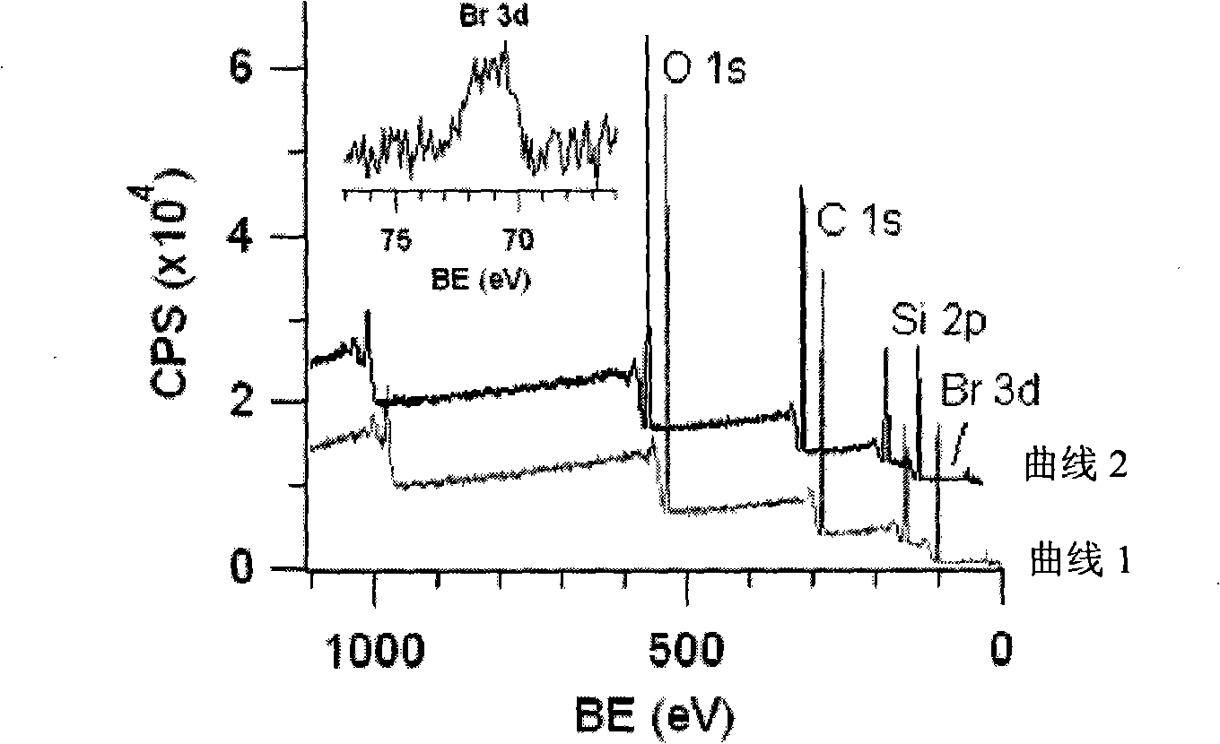 Polydimethylsiloxane with initiator on surface and its preparation method and use