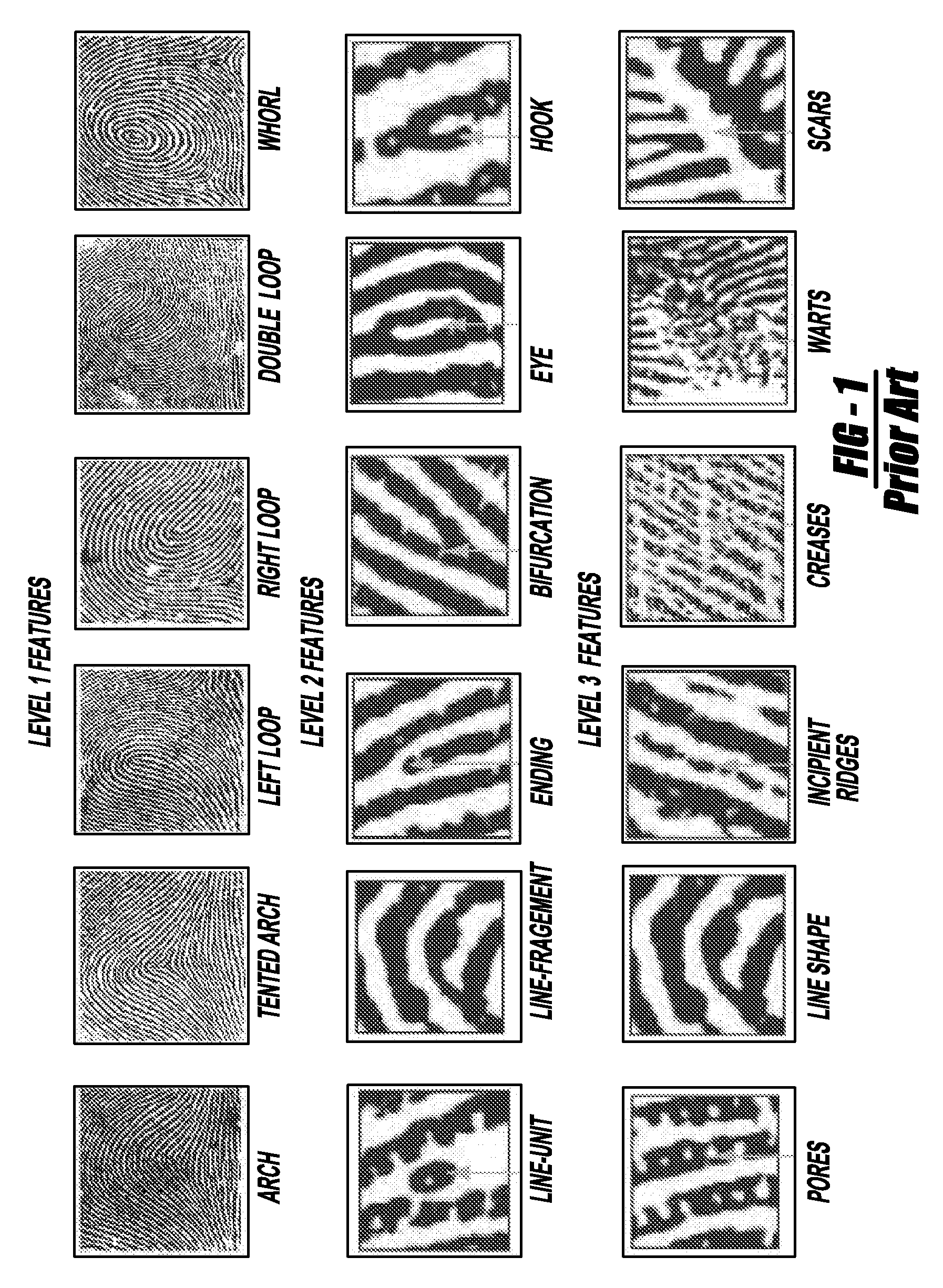 Level 3 features for fingerprint matching