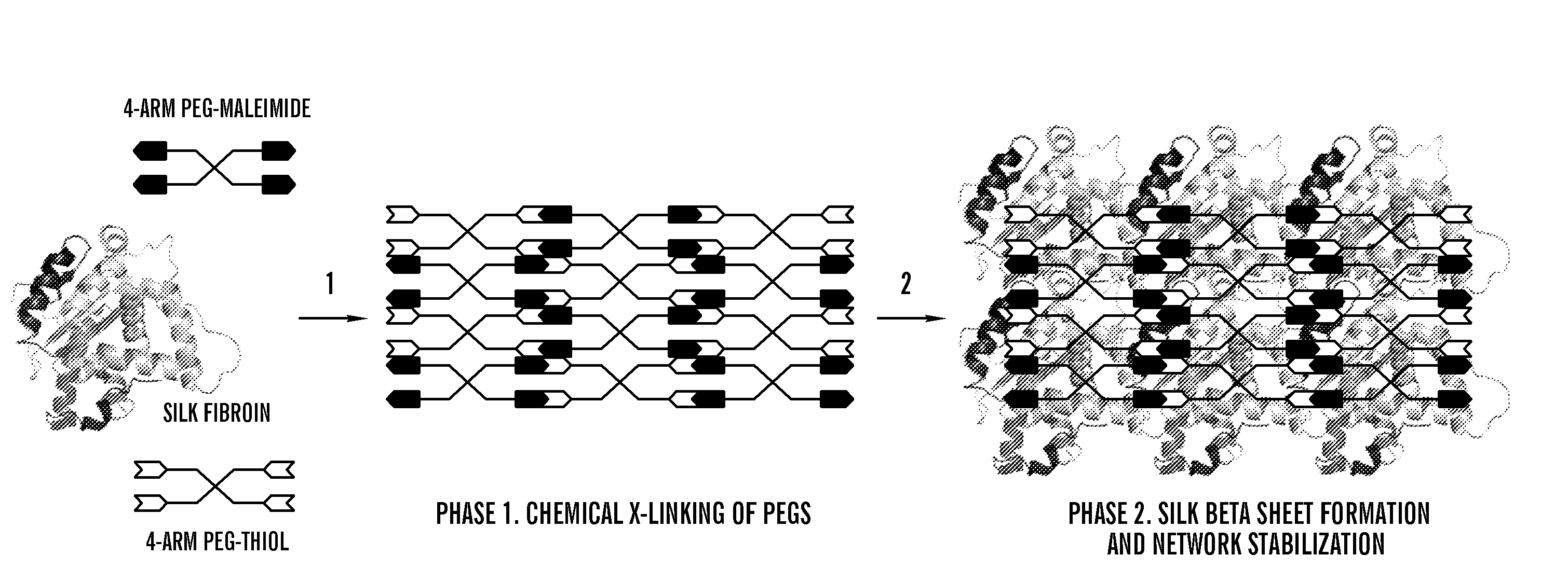 Silk fibroin and polyethylene glycol-based biomaterials