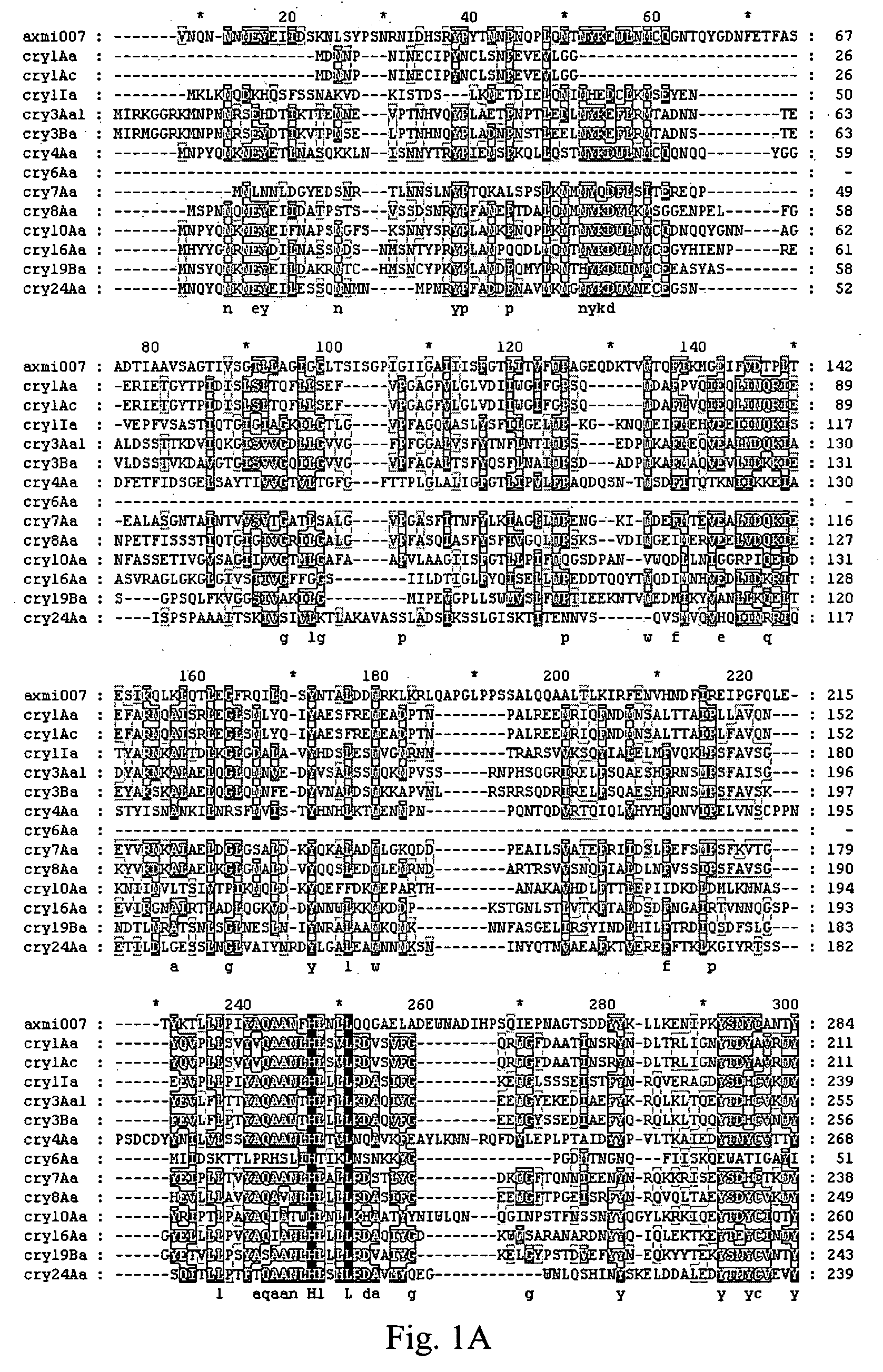 AXMI-007, a delta-endotoxin gene and methods for its use