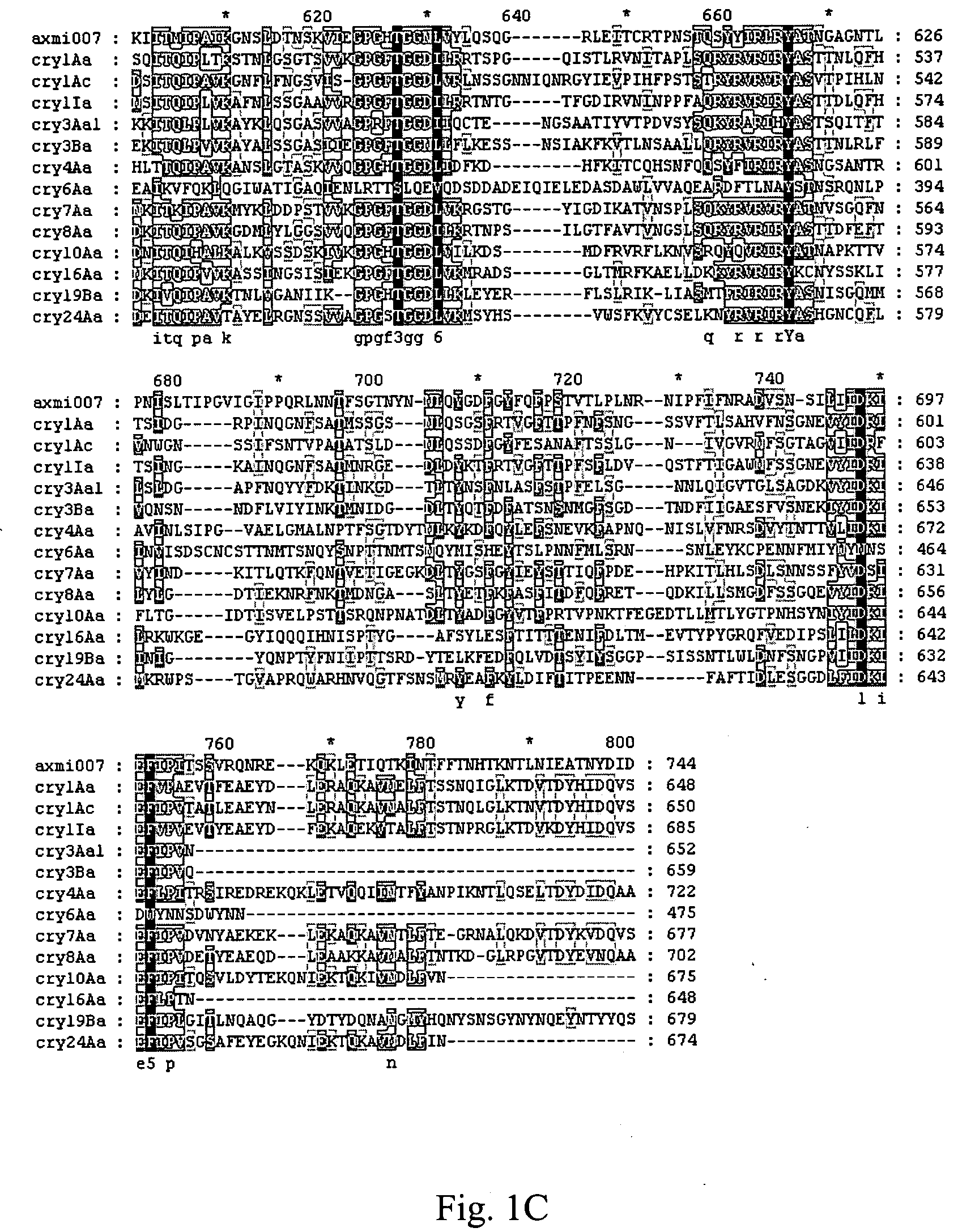 AXMI-007, a delta-endotoxin gene and methods for its use