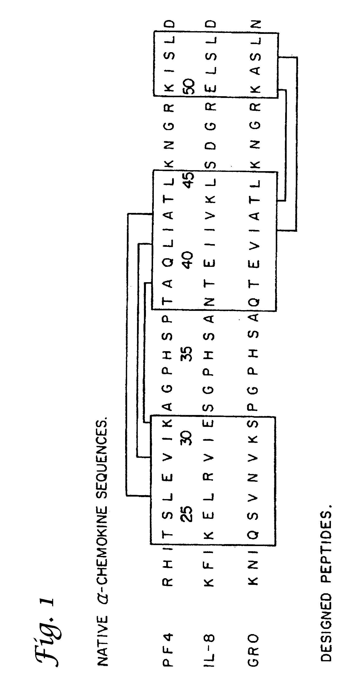 Tumor treatment using beta-sheet peptides and radiotherapy