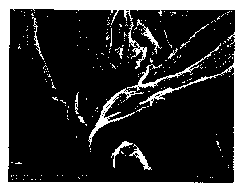 Environment-friendly braking friction material and preparation method thereof