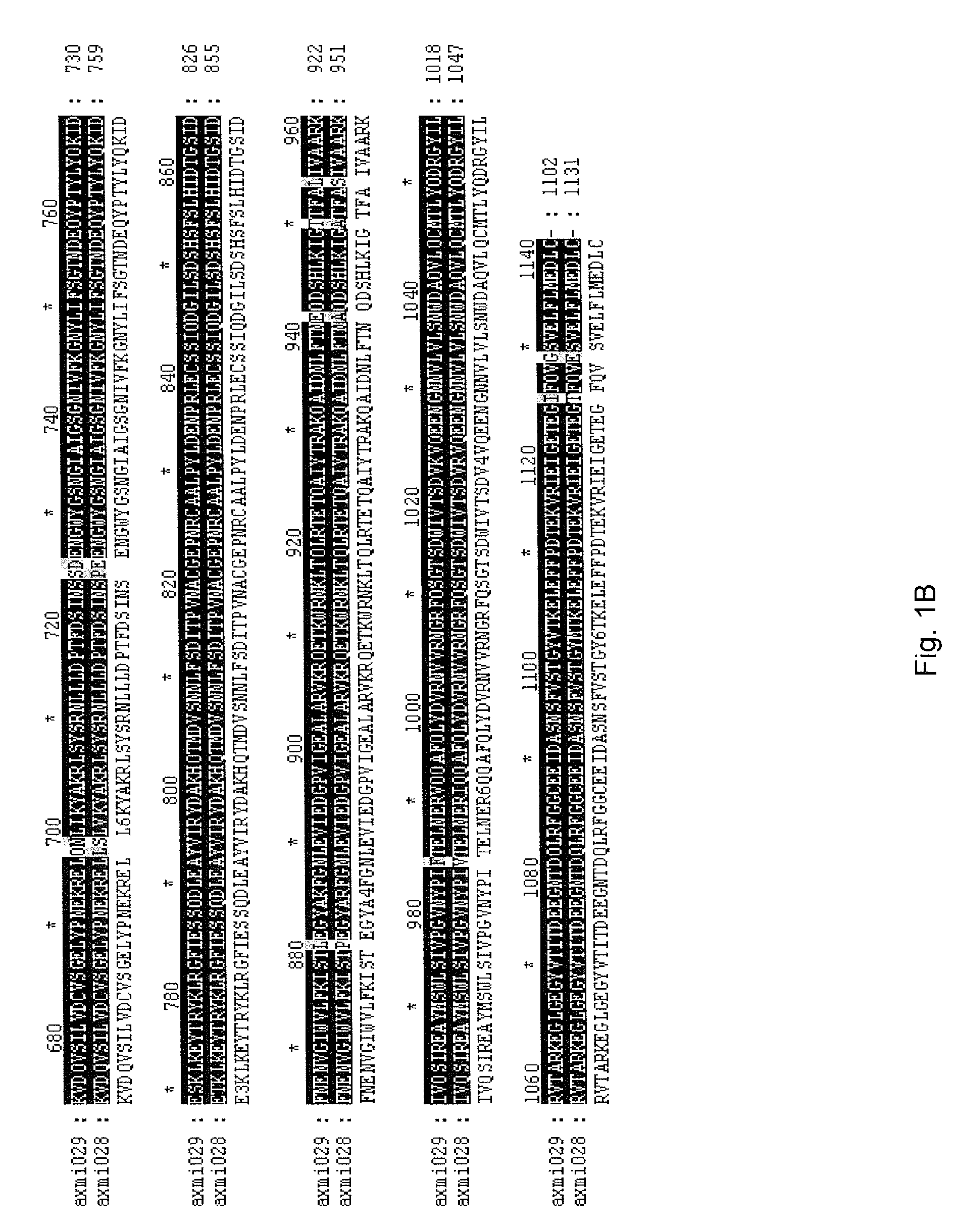 Axmi-028 and axmi-029, a family of novel delta-endotoxin genes and methods for their use