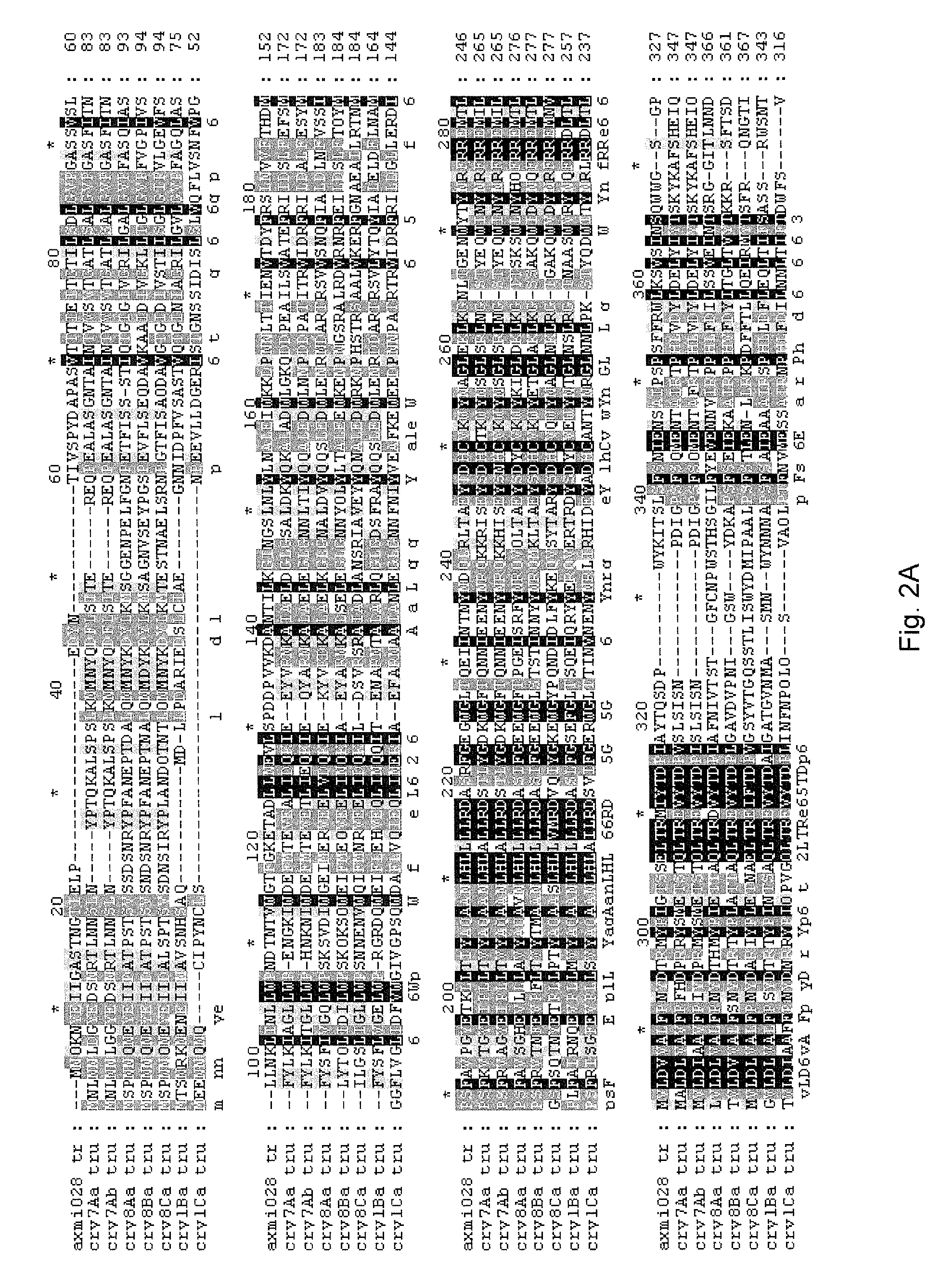 Axmi-028 and axmi-029, a family of novel delta-endotoxin genes and methods for their use