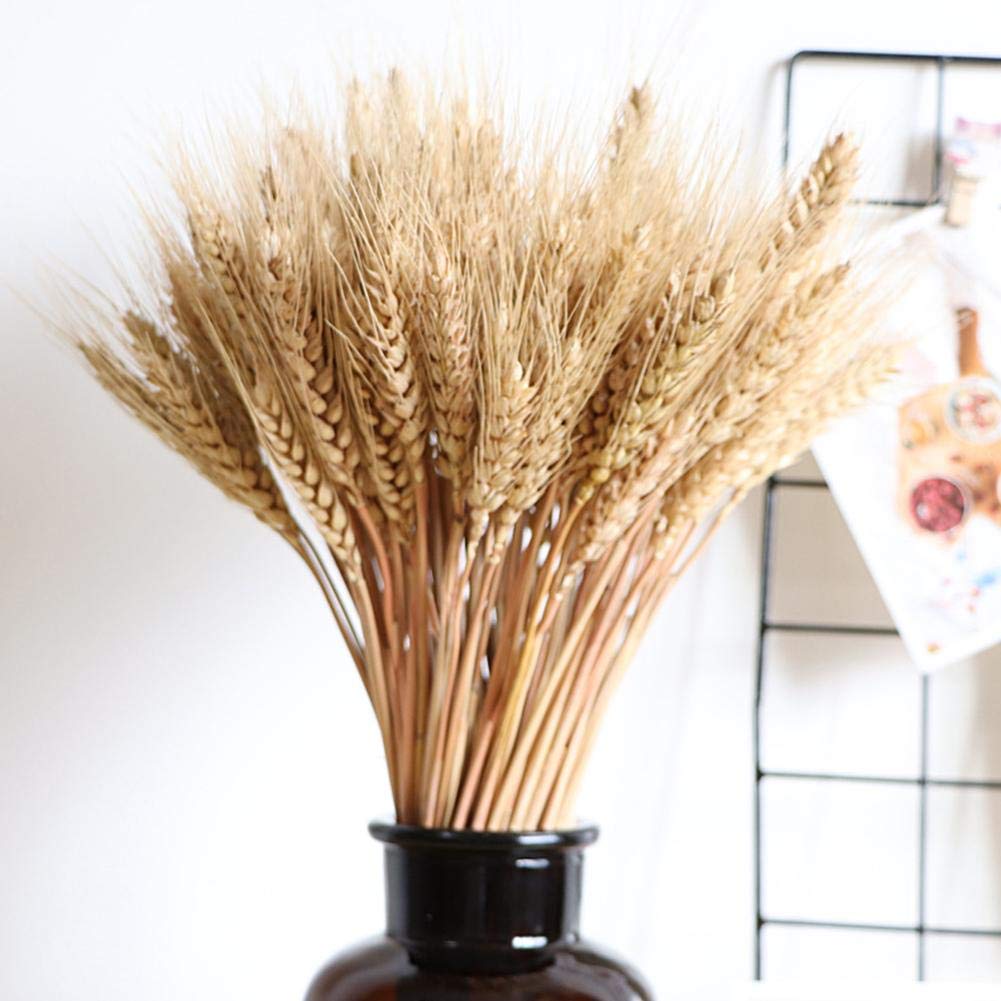 100pcs Dry Wheat Grass Bouquet Decoration Fall DecorationsChristmas