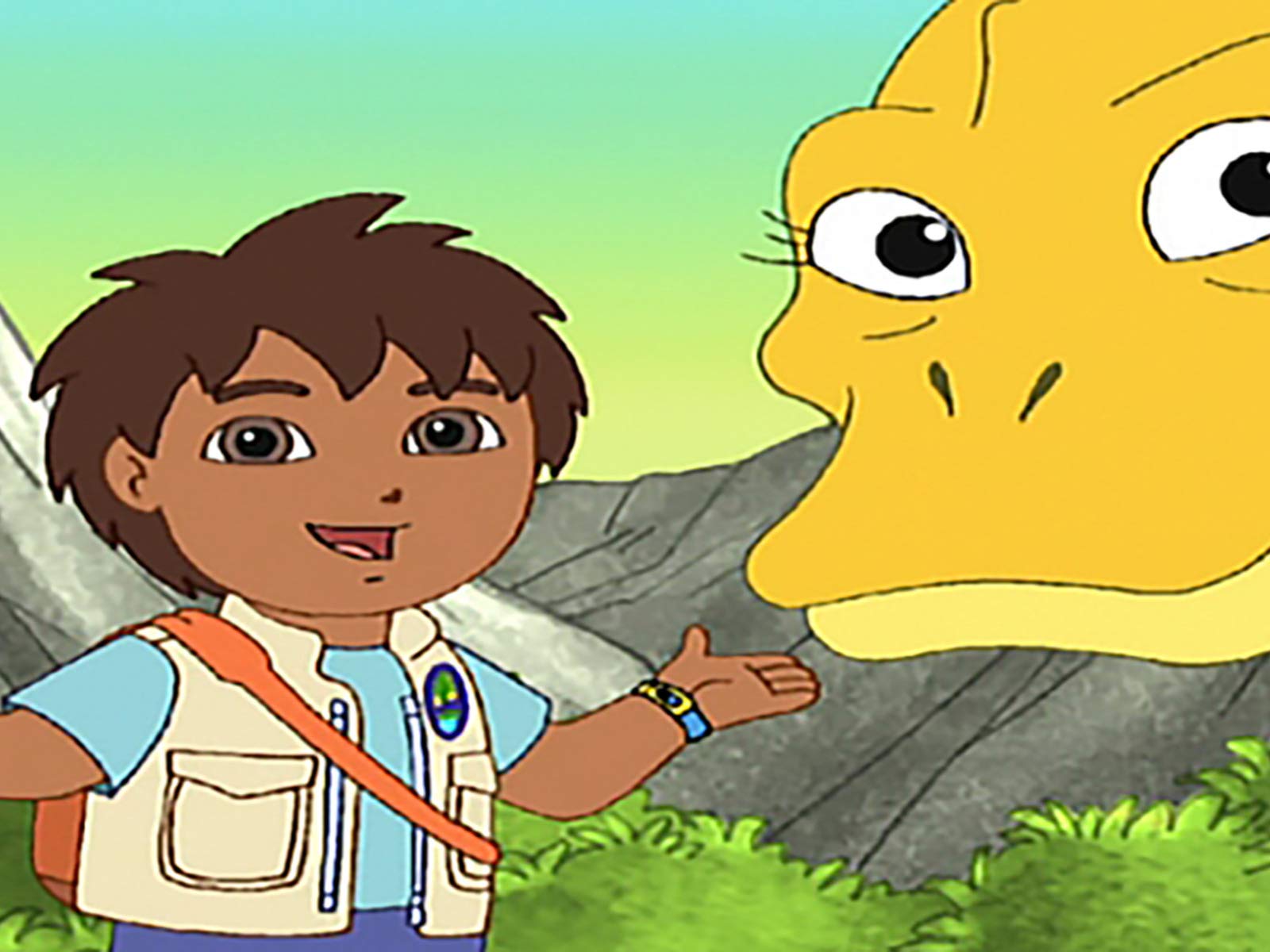 Go Diego Go Wallpaper