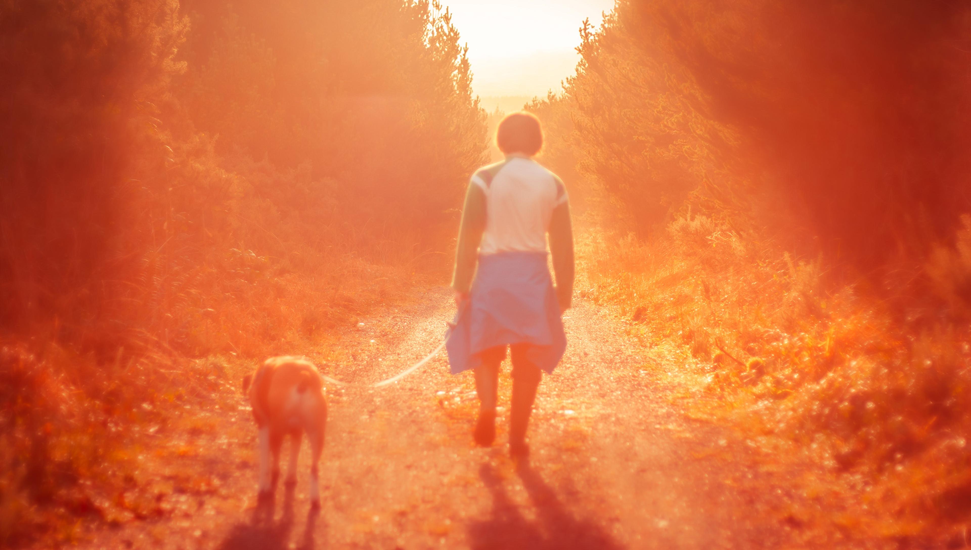 A person walking a dog along a tree-lined path during sunset, with a warm orange glow illuminating the scene. The person wears a white and green top with a blue jacket tied around their waist. The dog is walking slightly ahead on a leash.