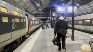 Des passagers du TGV Hendaye-Paris, arrivés à Bordeaux après une immobilisation de plusieurs heures, le 22 novembre 2024