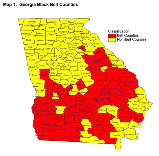 Mindful of Georgia: Voter Suppression Mitigation Canvass in the Black ...