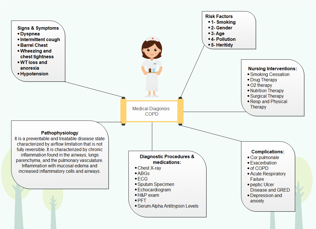 Free Concept Map Templates You Can Use Now Edraw 2022 - Vrogue