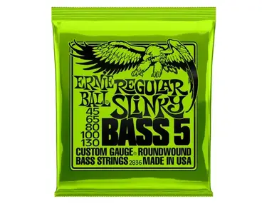 Ernie Ball Regular Slinky 5-String Bass Strings (45-130)