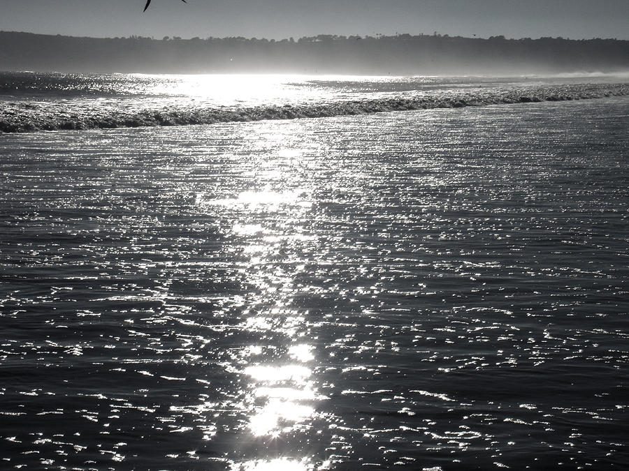 Sea Breeze Photograph by Luma Studio designs - Fine Art America