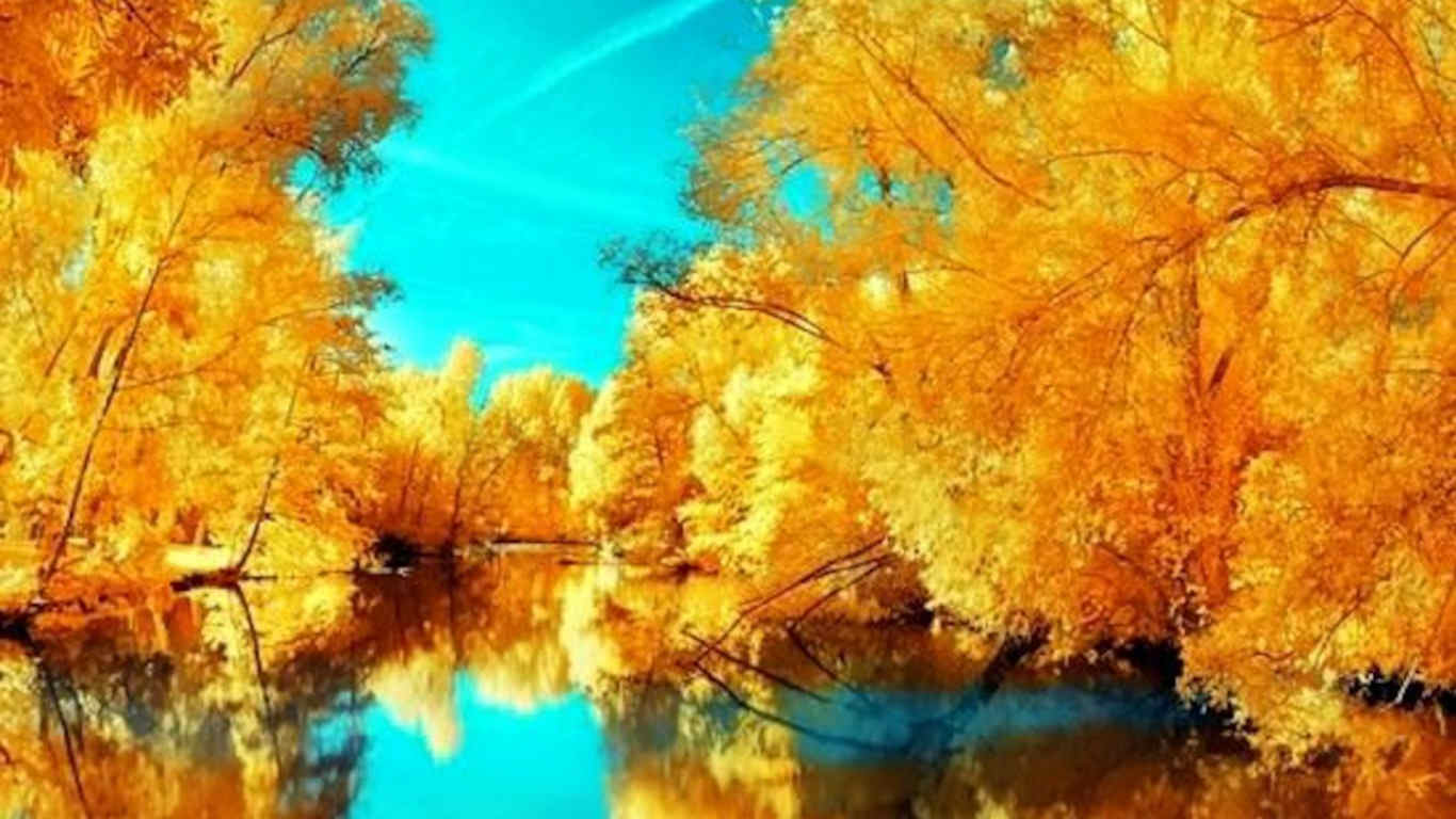 Autumn Reflection Background For You