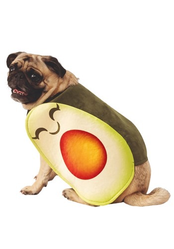 Adorable Avocado Dog Costume