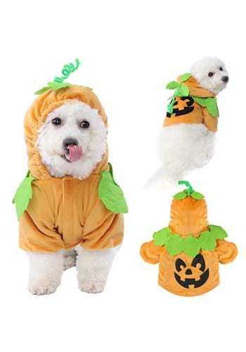 Pumpkin Pet Costume