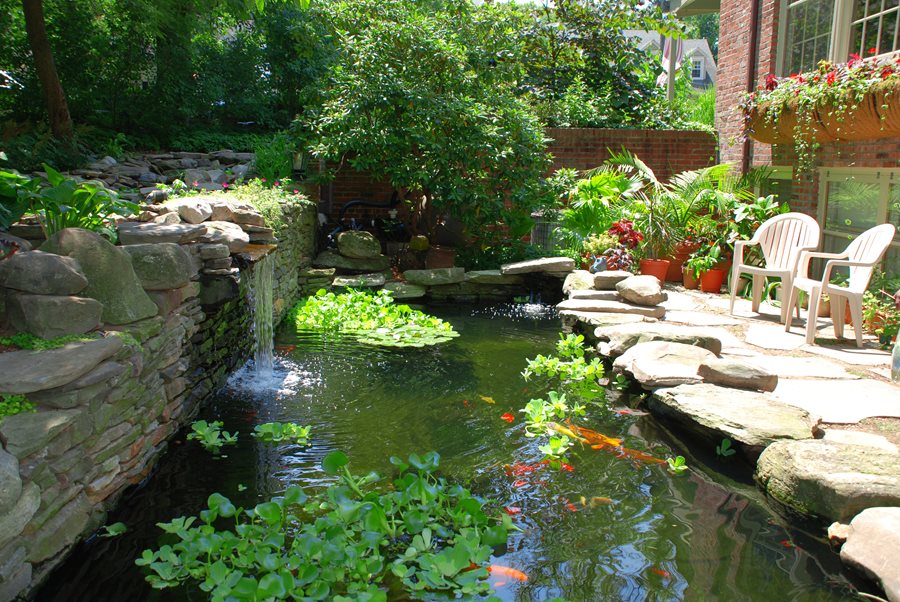 Koi Pond Design & Maintenance - Landscaping Network