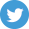 Twitter Brand Logo