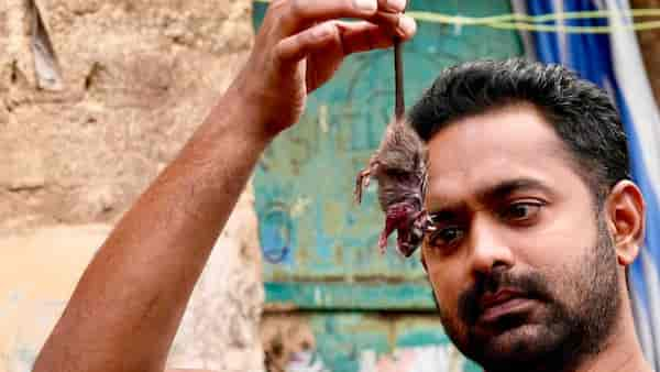 Asif Ali in Otta