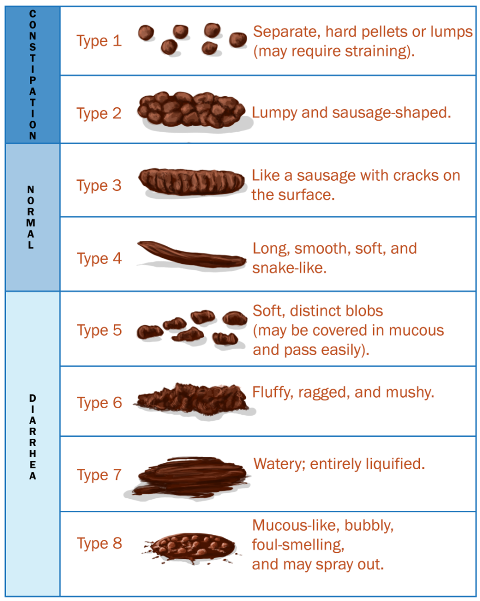 Mucus In Human Feces