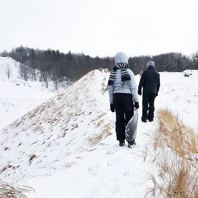 We love winter so much, we drove farther north for more snow! Our recent drive to Michigan was rewarded with a morning of sledding at Sugar Bowl (sand) Dune in Muskegon State Park.
.
Fresh powder, acres of steep sledding drops, a panoramic view of a 