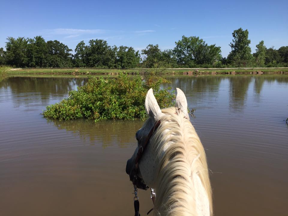 Agritourism at Dream Point Ranch — Dream Point Ranch