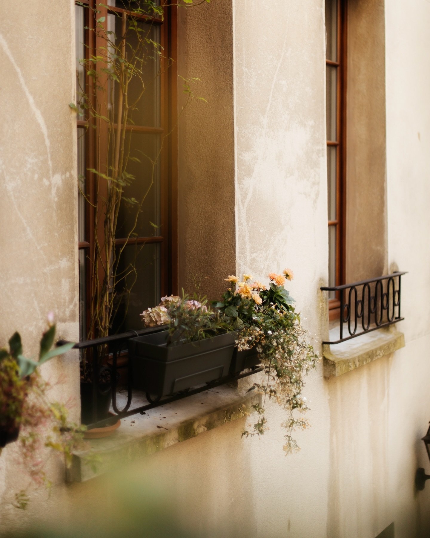 Corners of our home on &Icirc;le Saint-Louis