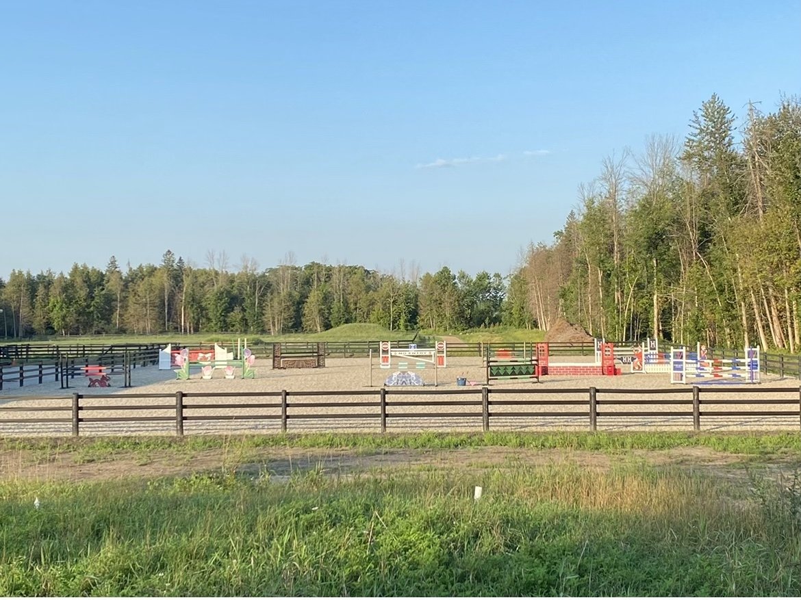 Lone Meadow Stables — Haupt Horses