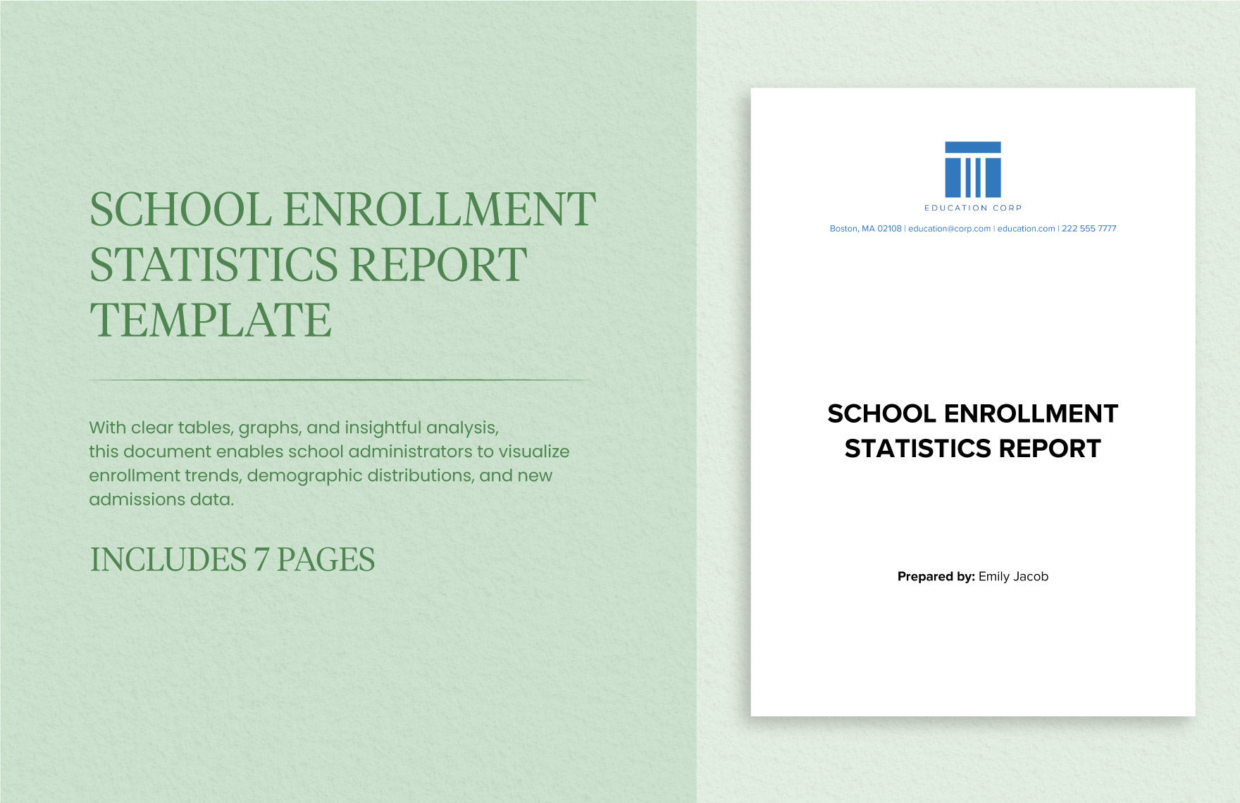 School Enrollment Statistics Report Template