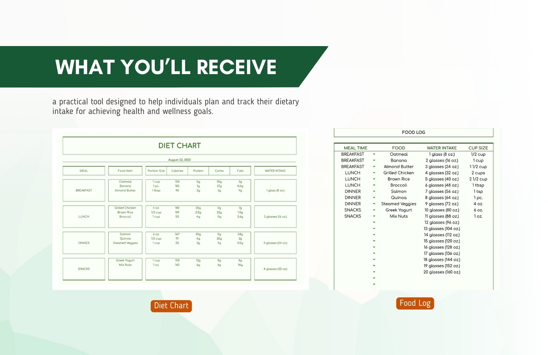 Diet Chart Template