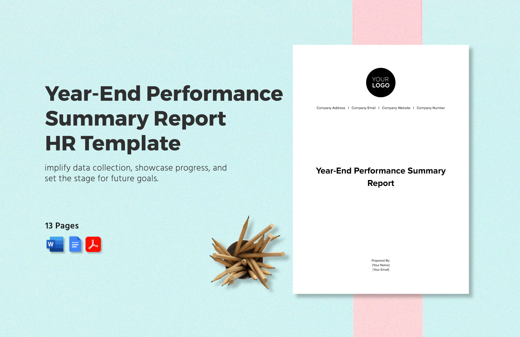 Year-End Performance Summary Report HR Template