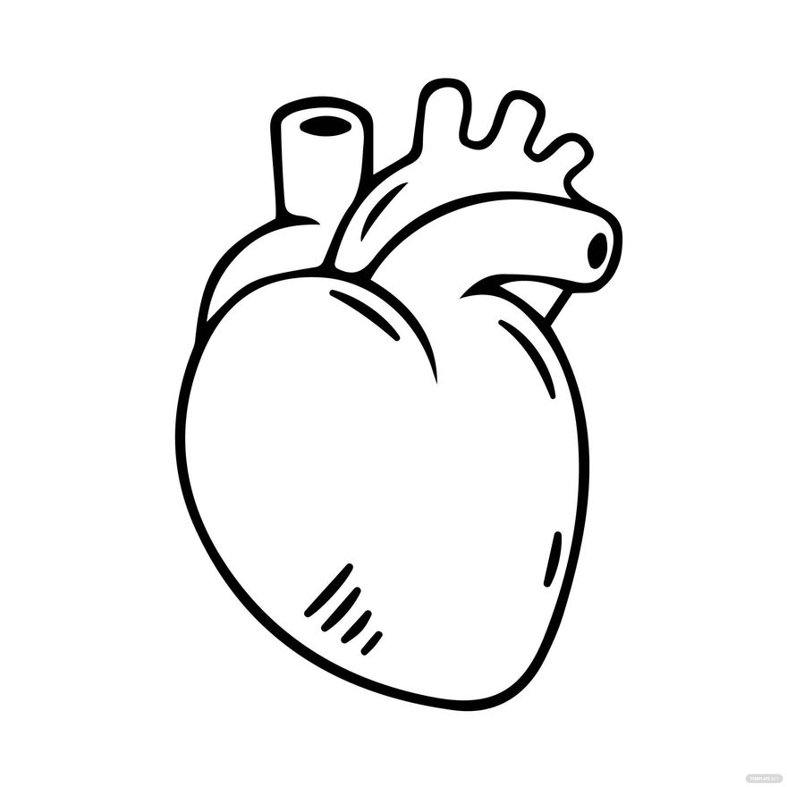 Human Heart Black And White Drawing