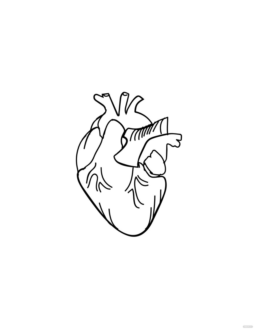 Human Heart Tattoo Outline